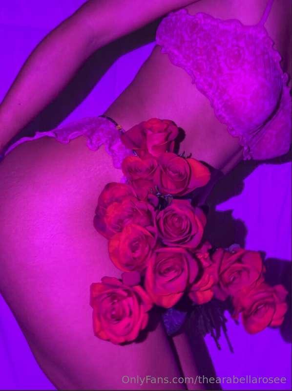 thearabellarosee image #0