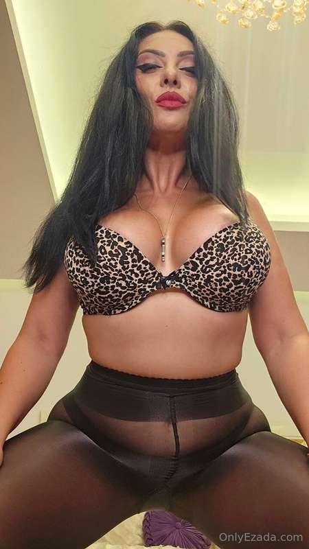 ezada image #0