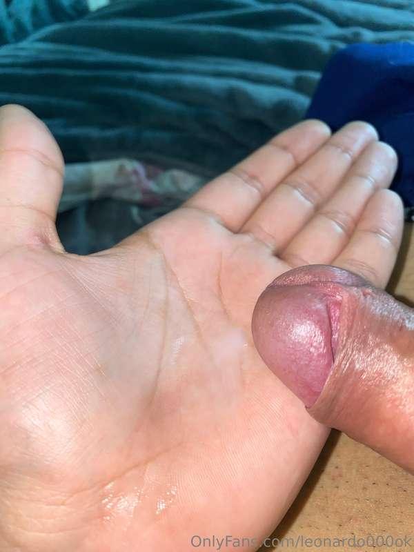 leonardo000ok image #0