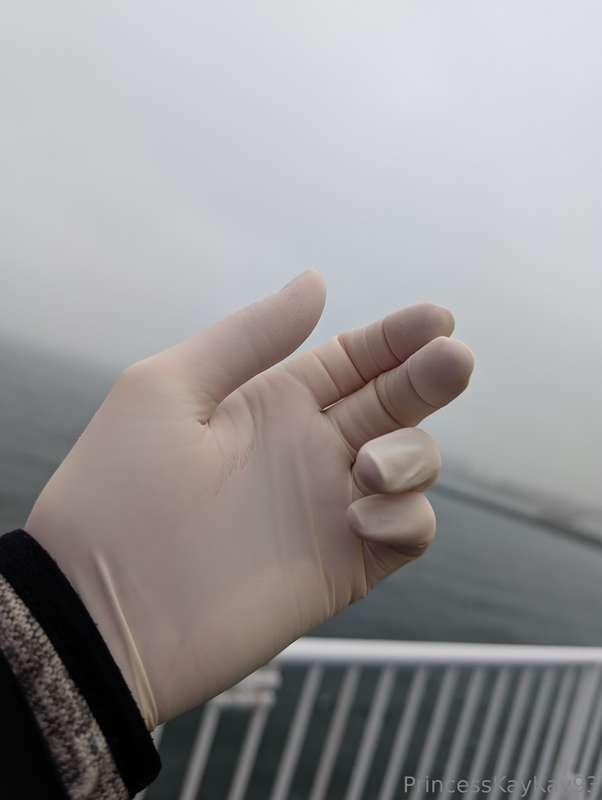 Gloved up on the ferry today! Also, ✨ KayKay's travel tip ✨ ..