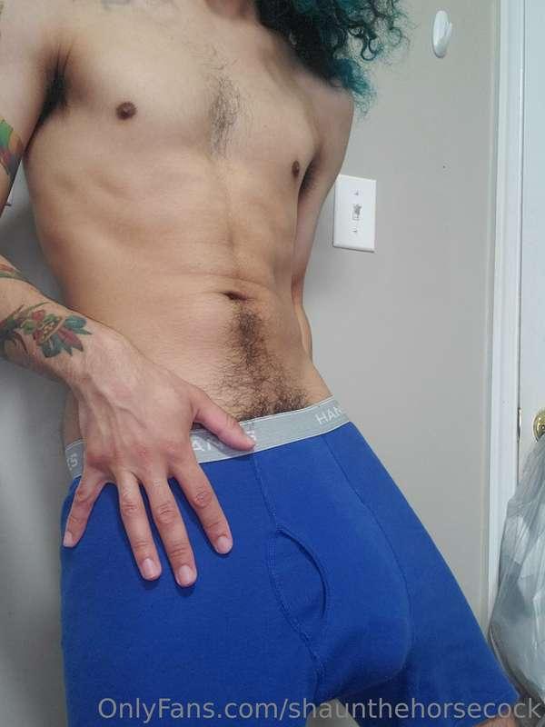 shaunthehorsecock image #3