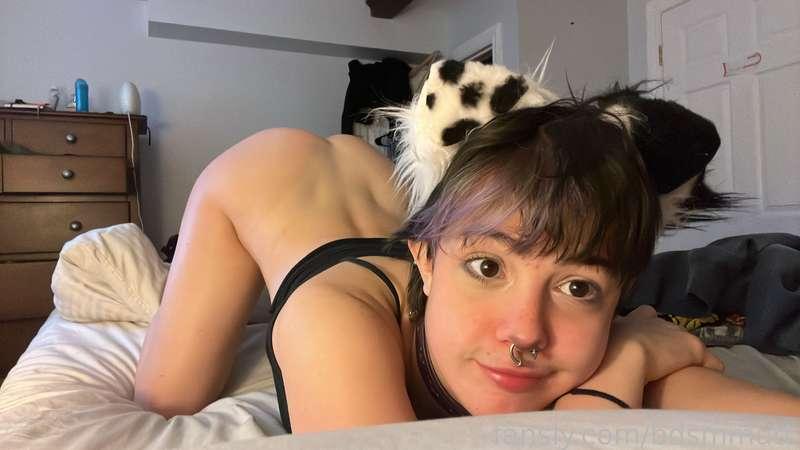 bdsmmutt image #1