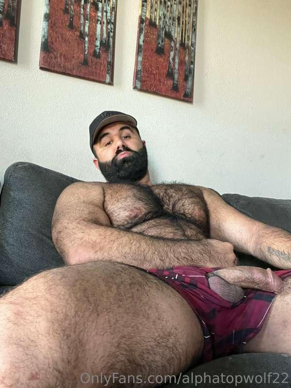 alphatopwolf22 image #1