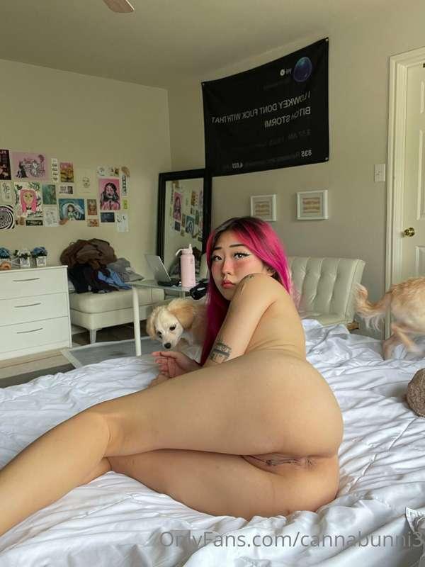 i’m telling u my dogs never leave me alone ever lol
