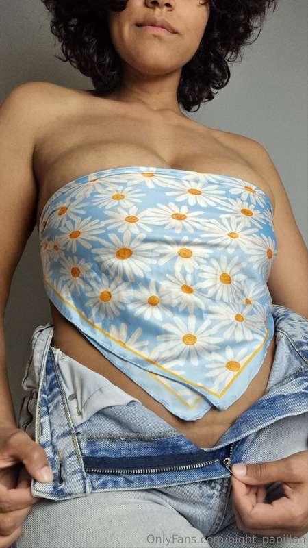 night_papillon image #2