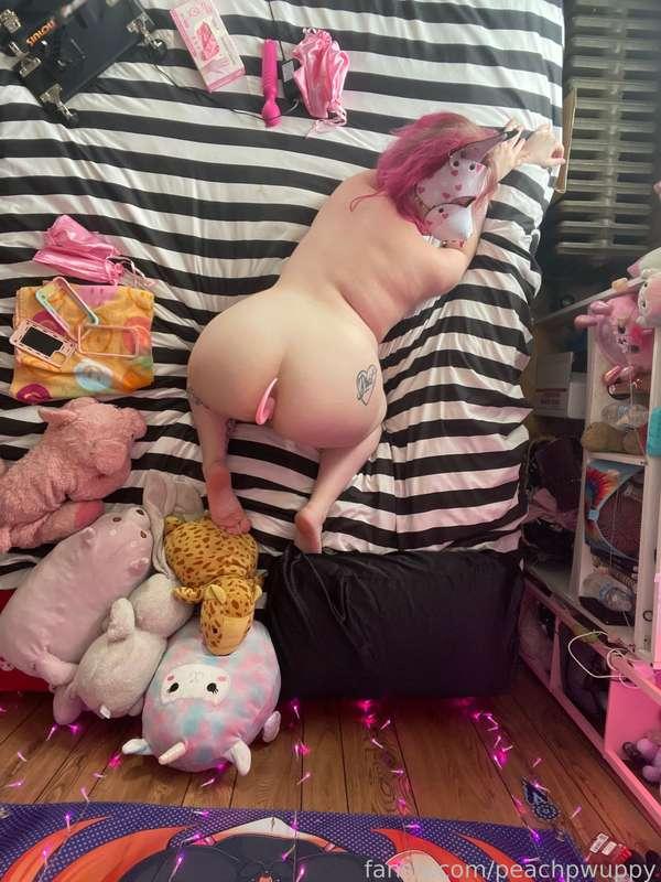 peachpwuppy image #5