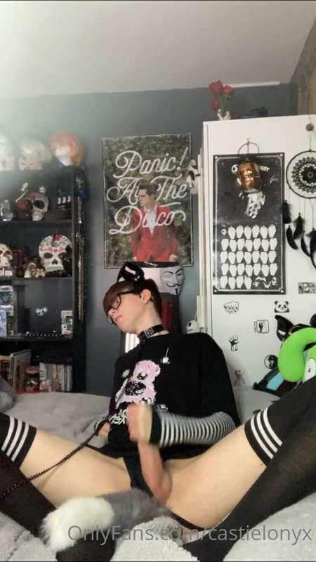 *Catboy Collection - Erotic*