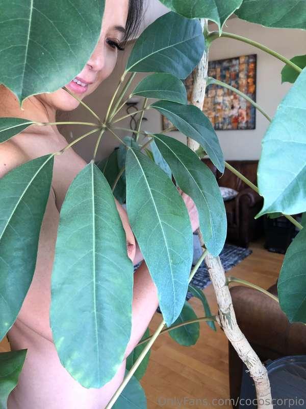 It's a nice day to play, what do you say?@cocoscorpiovip 