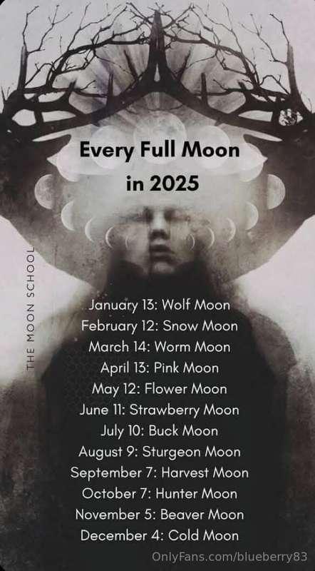 blueberry83 image #30