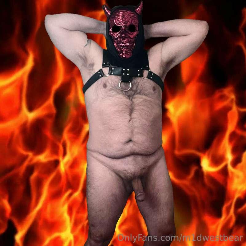 m1dwestbear image #2