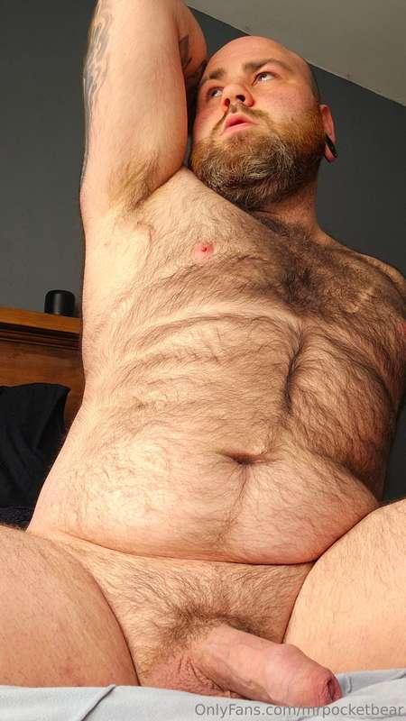 mrpocketbear image #3