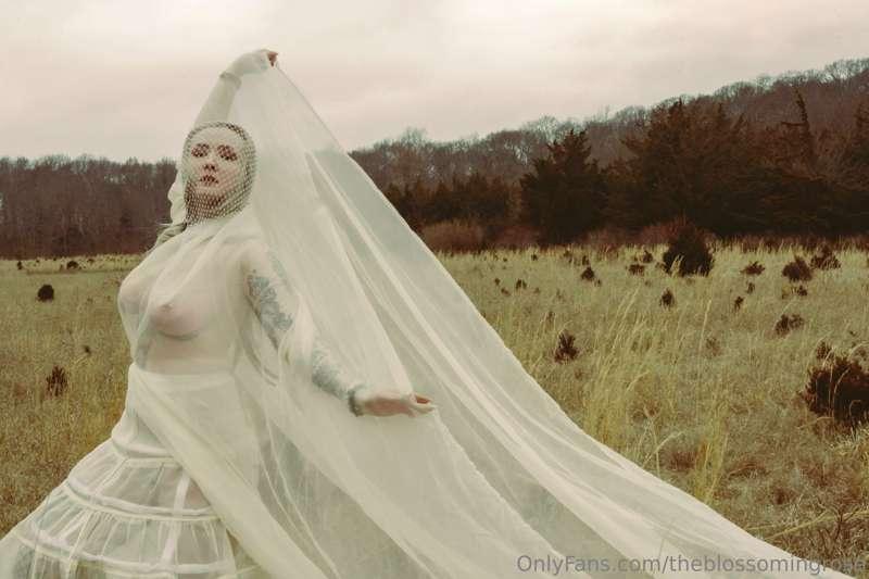 theblossomingrose image #1