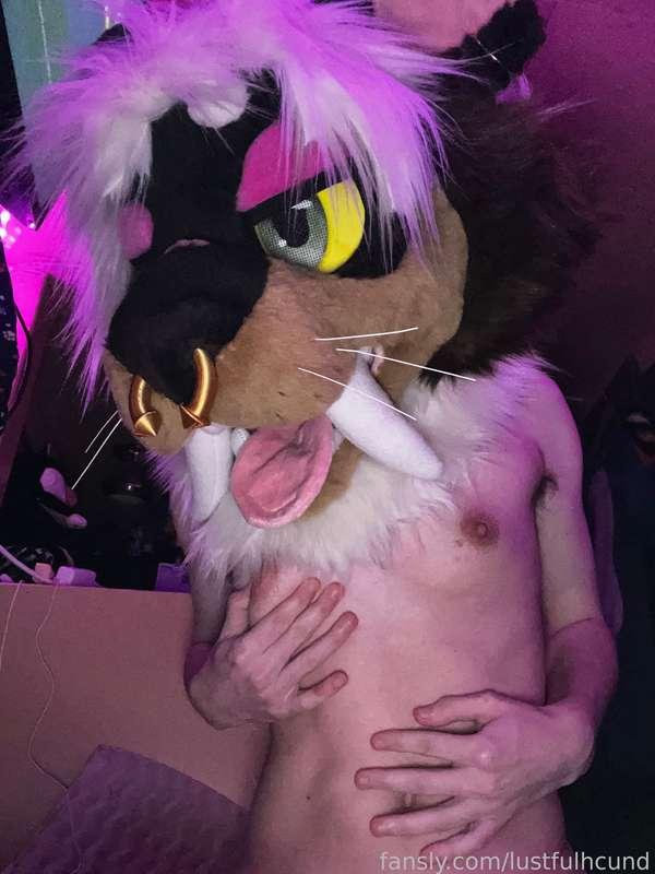 lustfulhcund image #4