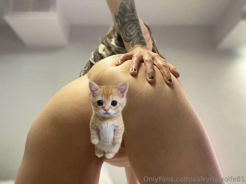 valkyriewolfe81 image #1