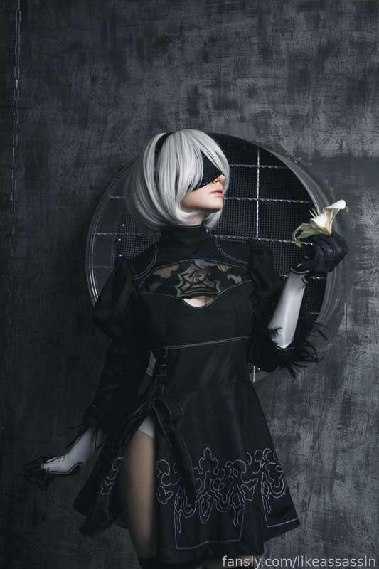 likeassassin image #2