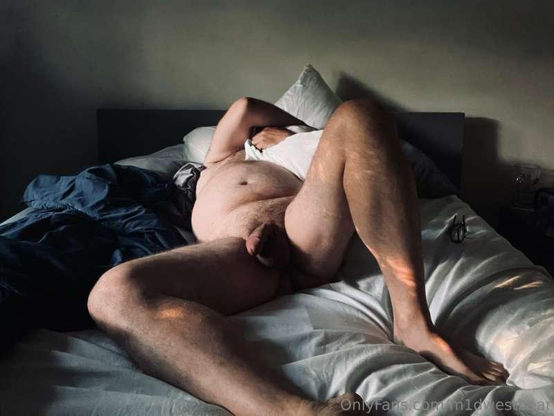 m1dwestbear image #5