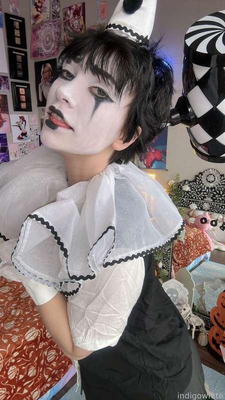 indigowhite image #43