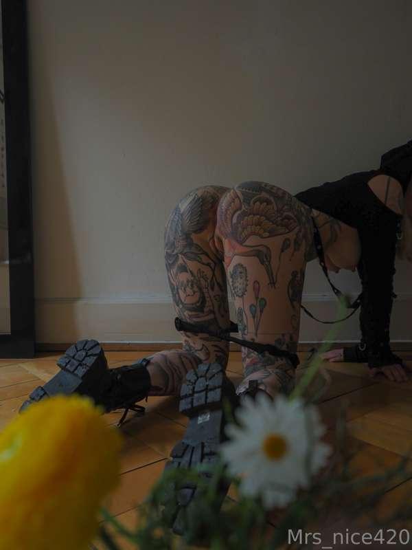 mrs_nice image #16