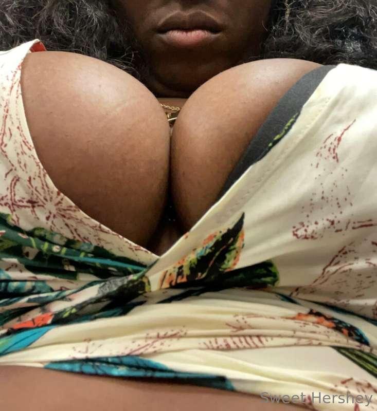 Omg love I almost missed Titty Tuesday, Hershey is so sorry ..