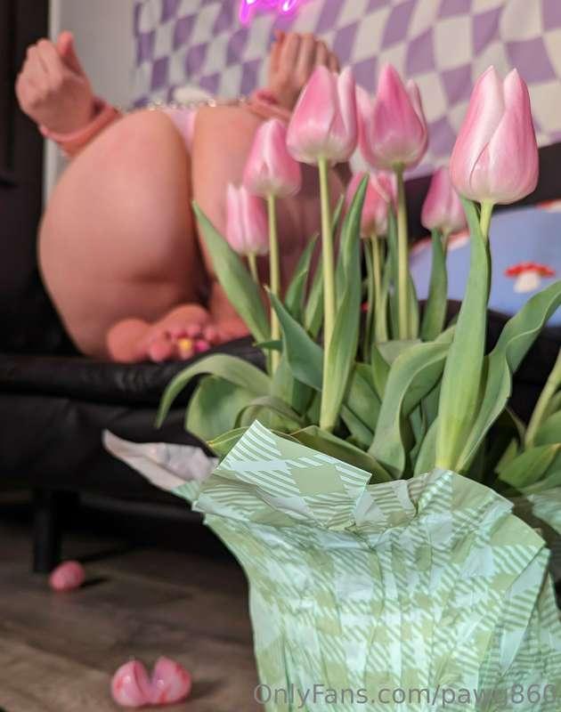 pawg860 image #5