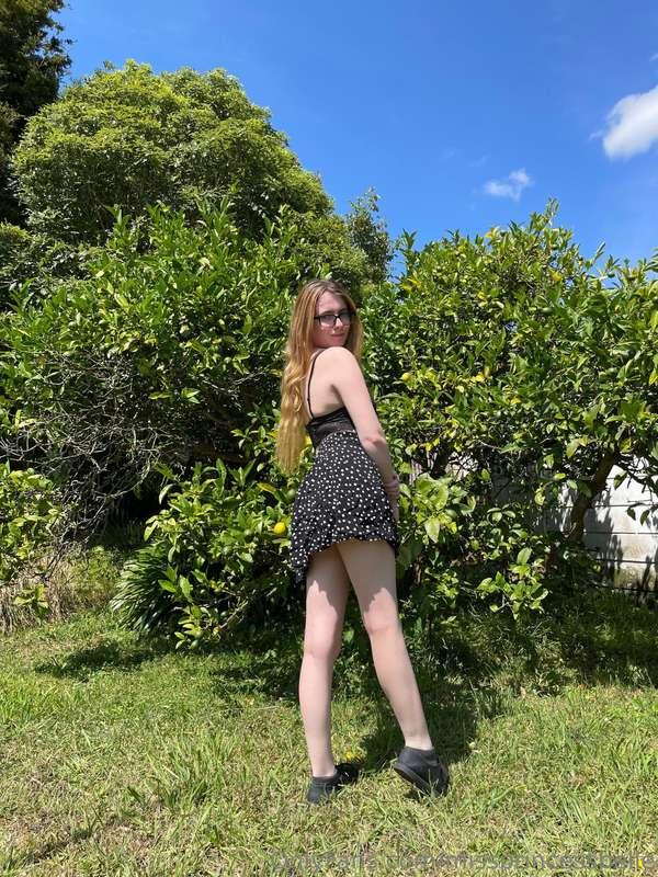 Was such a lovely sunny day  (These were taken in my private..