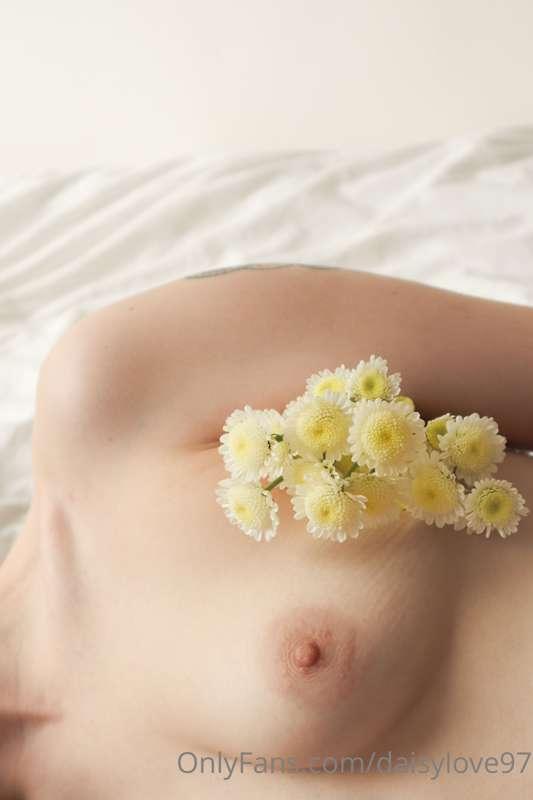 daisylove image #1