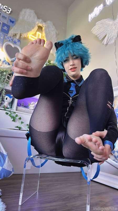 indigowhite image #115