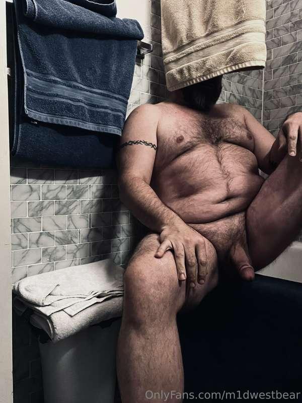 m1dwestbear image #3