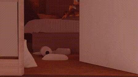 Cats and Milk V2 [HD] [Sound]