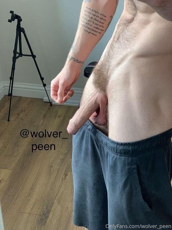 wolver_peen image #0