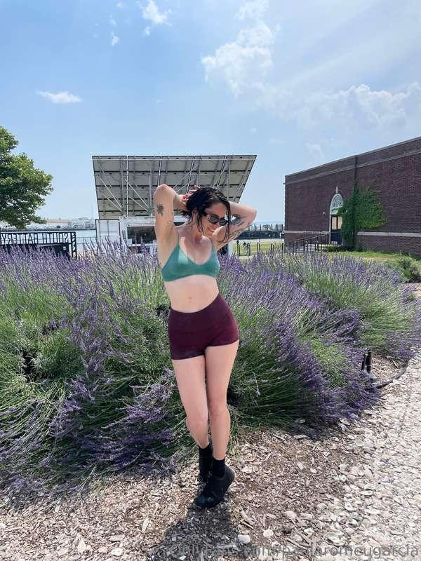 Biutiful (tiny) lavender field in NYC 💜🥹