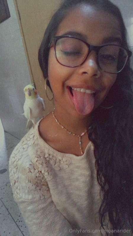soo here's my pet birddd again