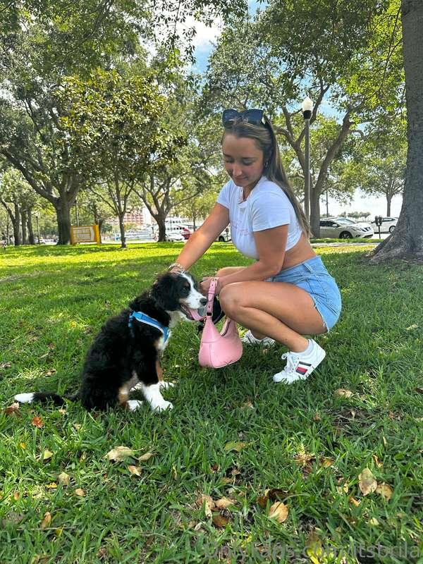 my puppy topper