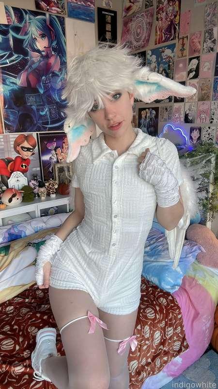 indigowhite image #242