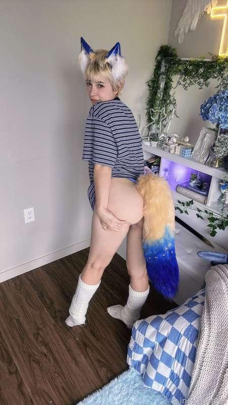 indigowhite image #116