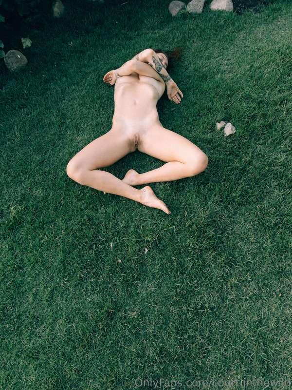 court.inthewild image #15