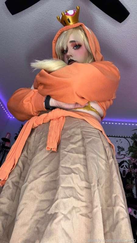 coophound image #8