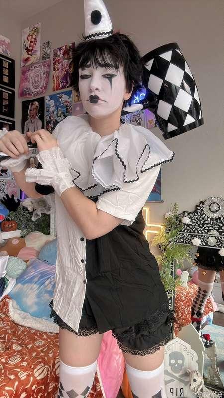 indigowhite image #64
