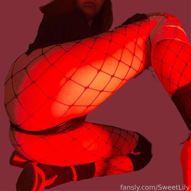 lilyarmel image #1