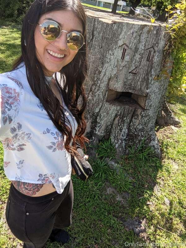 This tree trunk that's still rooted in the ground is hugeeee..