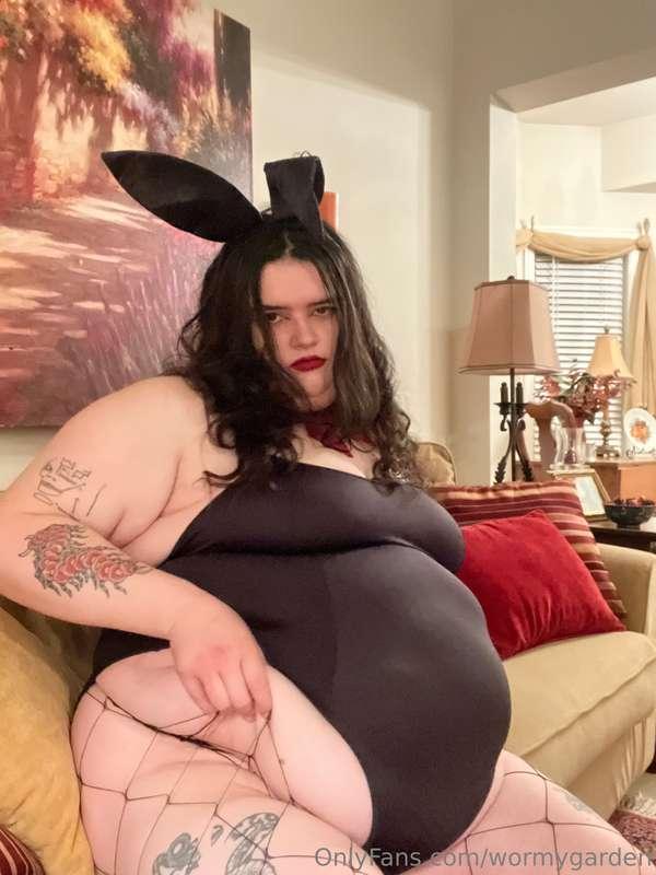 wormygarden image #15