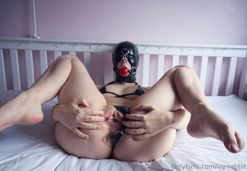 ivy-rabbit image #11