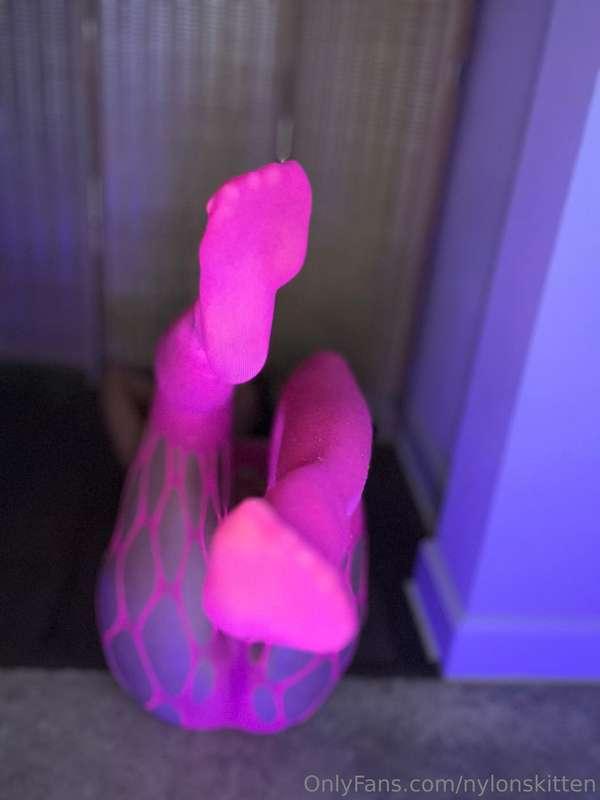 nylonskitten image #2