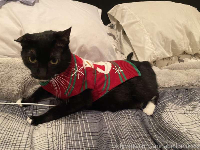 Merry Christmas! From me and Ninja! He head butts me, always..