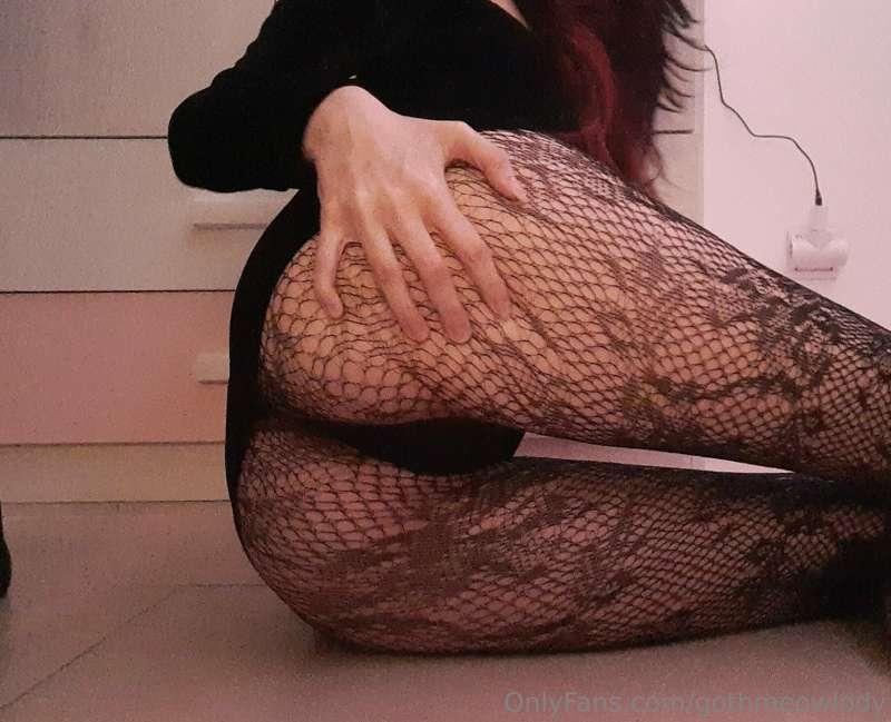 gothmeowlody image #0