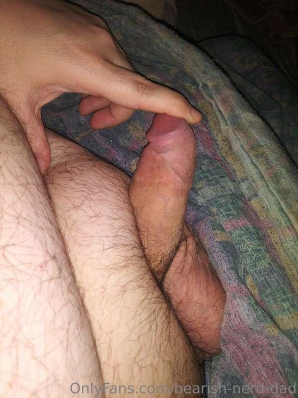 bearish-nerd-dad image #0