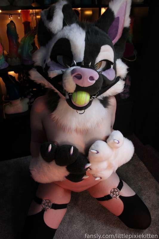 littlepixiekitten image #6