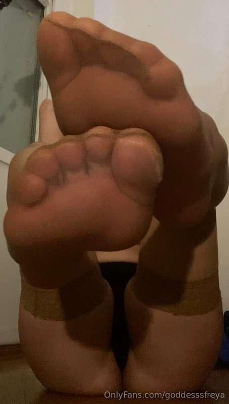 Lick them for me…