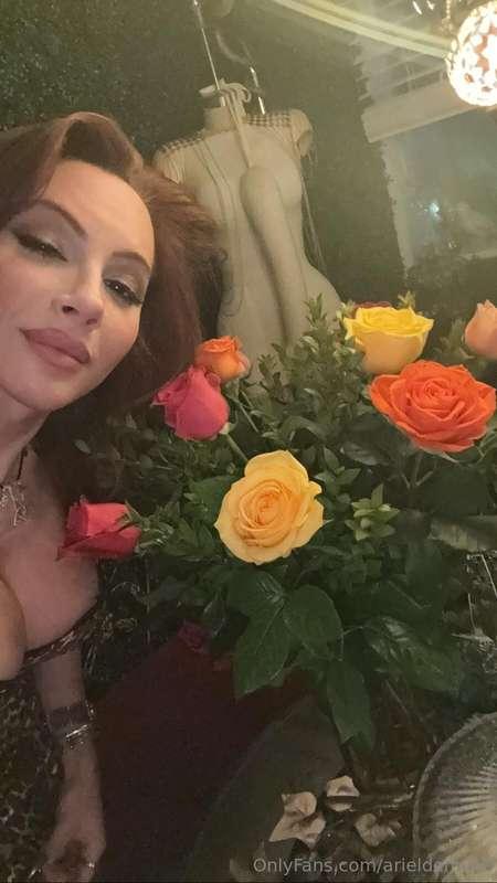 Which rose is your favorite??