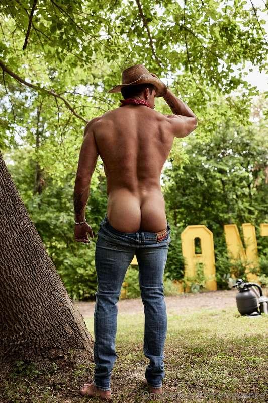hows it hangin?